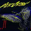 Aer Crow - The Cyberpunk Philharmonic (2/3) - Single